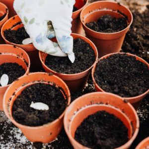 Organic Garden Soil Mix