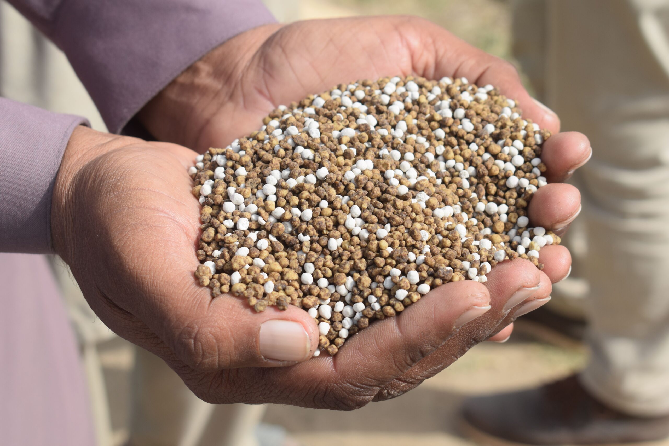 NPK Fertilizer