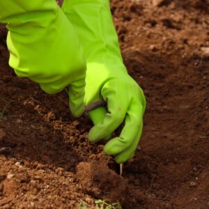 Garden Gloves