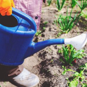 Watering Can